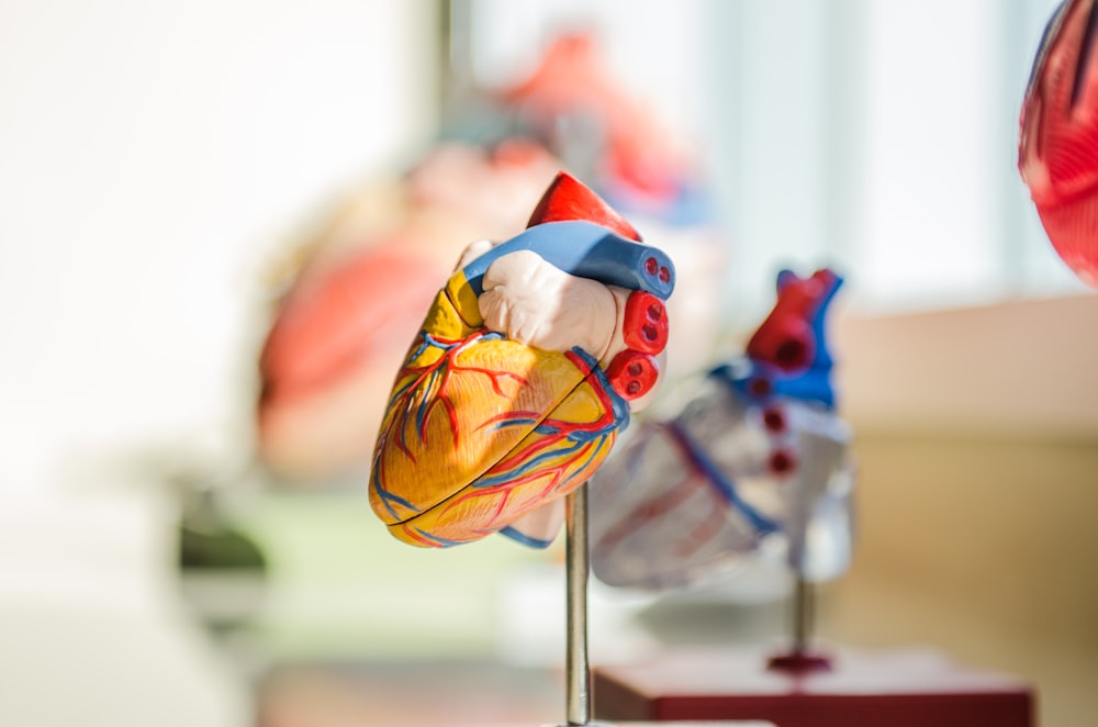 Cardiology — VelaCare Turkey