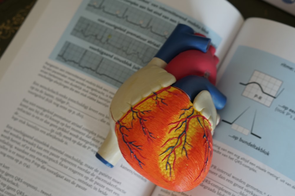 Why Choose Turkey for Heart Surgery? — Cardiology, VelaCare Turkey
