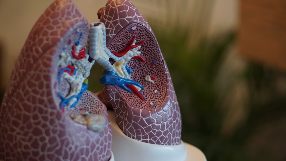 Pulmonology — VelaCare Turkey