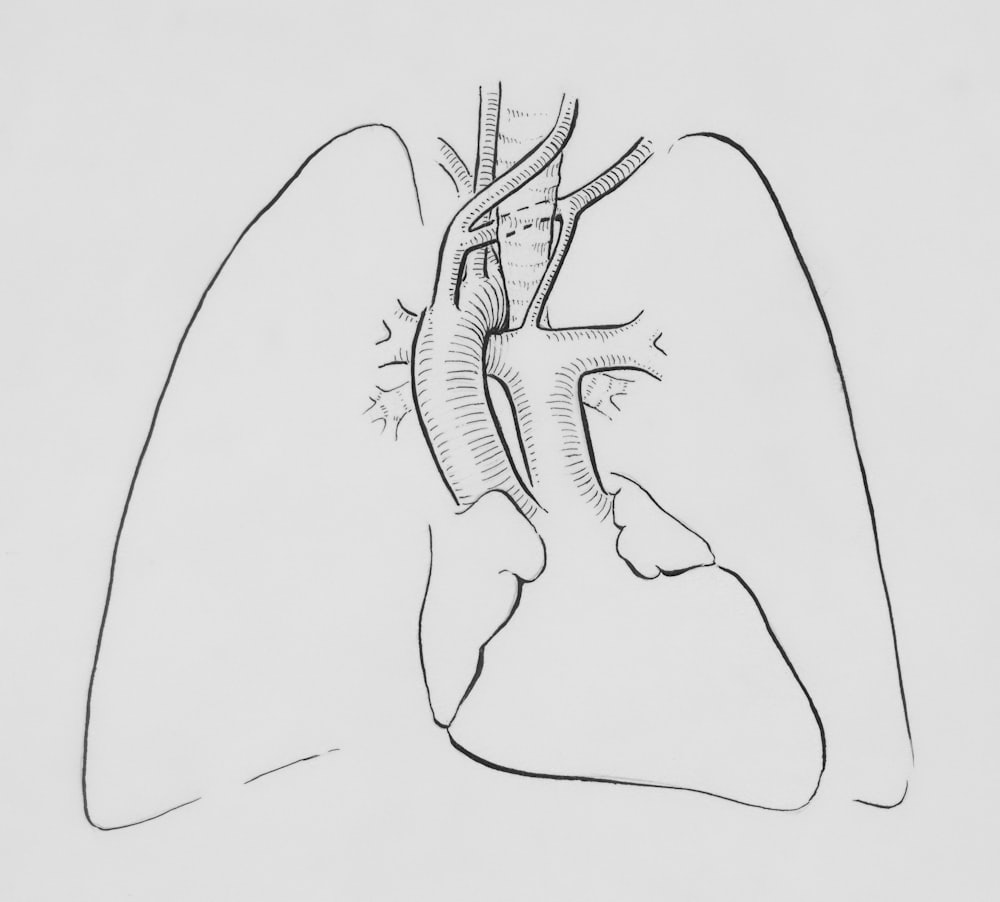 Respiratory Care in Turkey — Expert Diagnosis and Treatment — Pulmonology, VelaCare Turkey